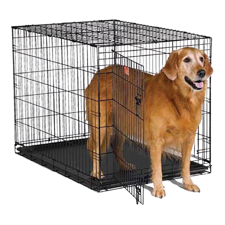 Kandang Pet Profesional